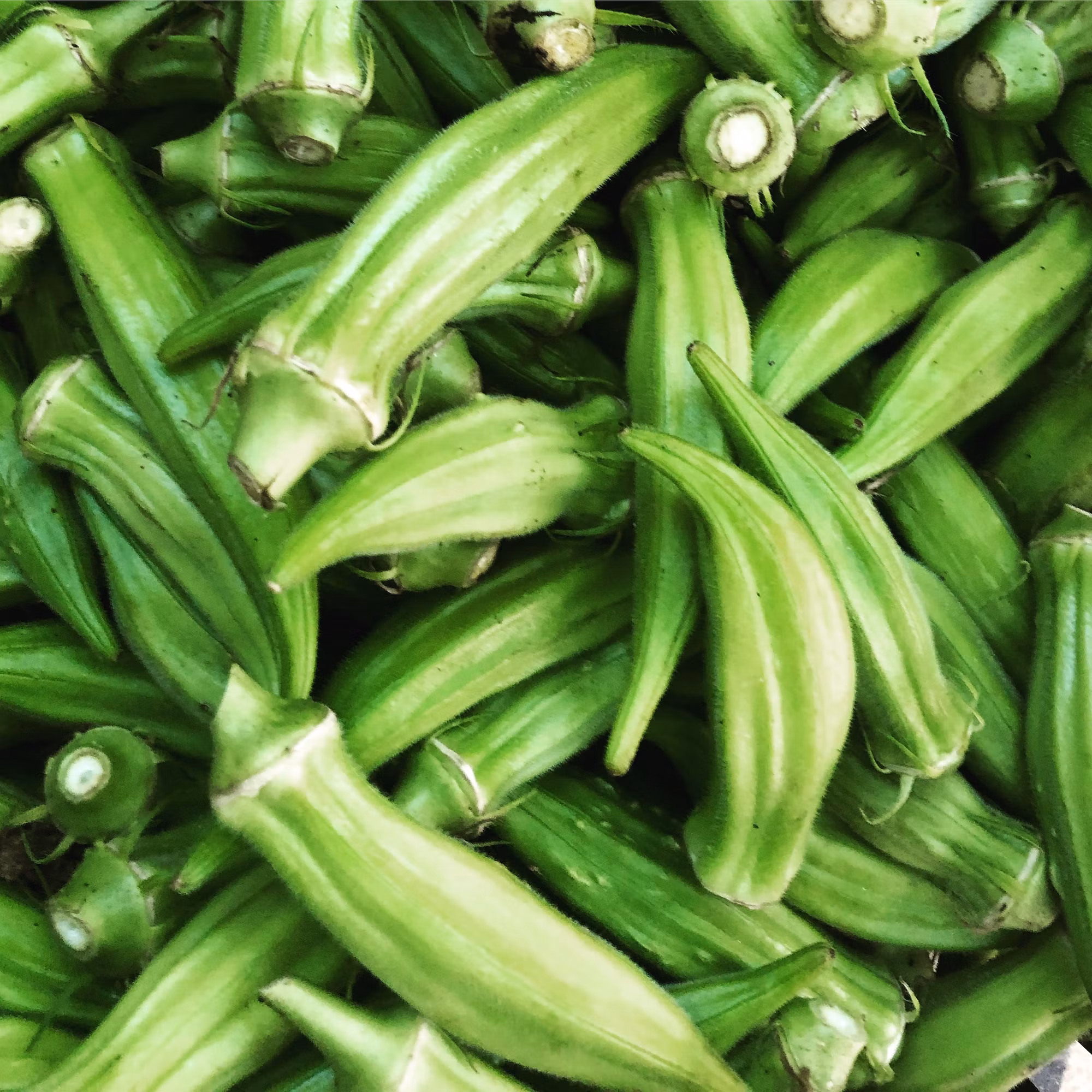 Stuffed Okra